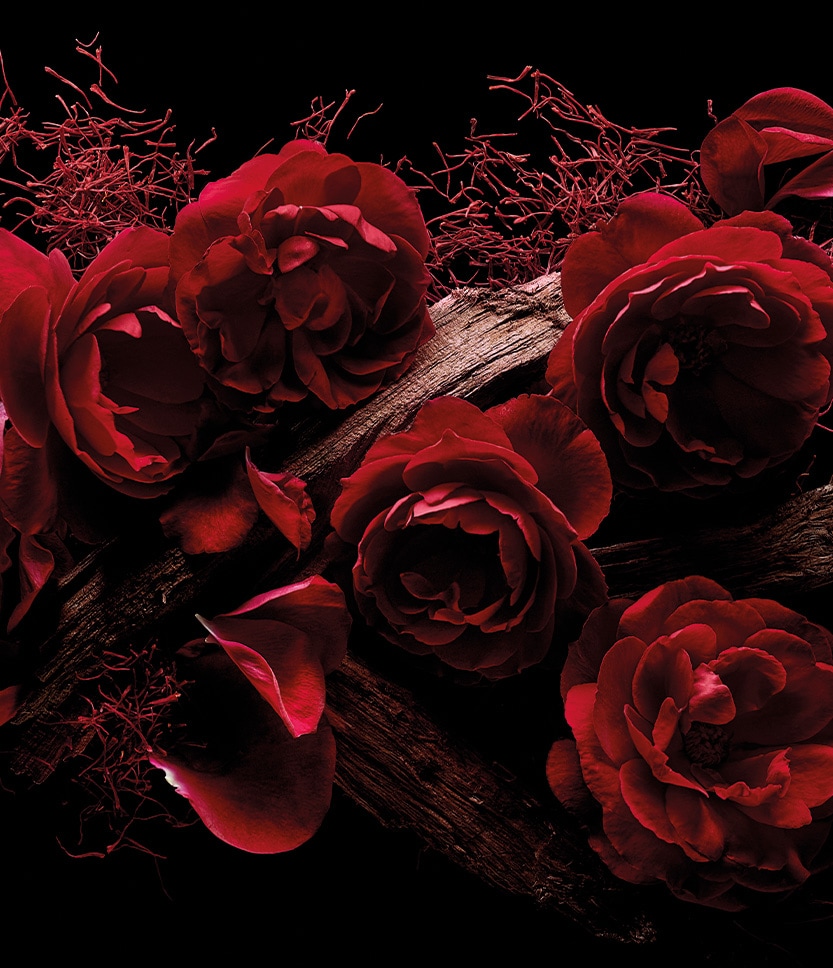 Rose Oud